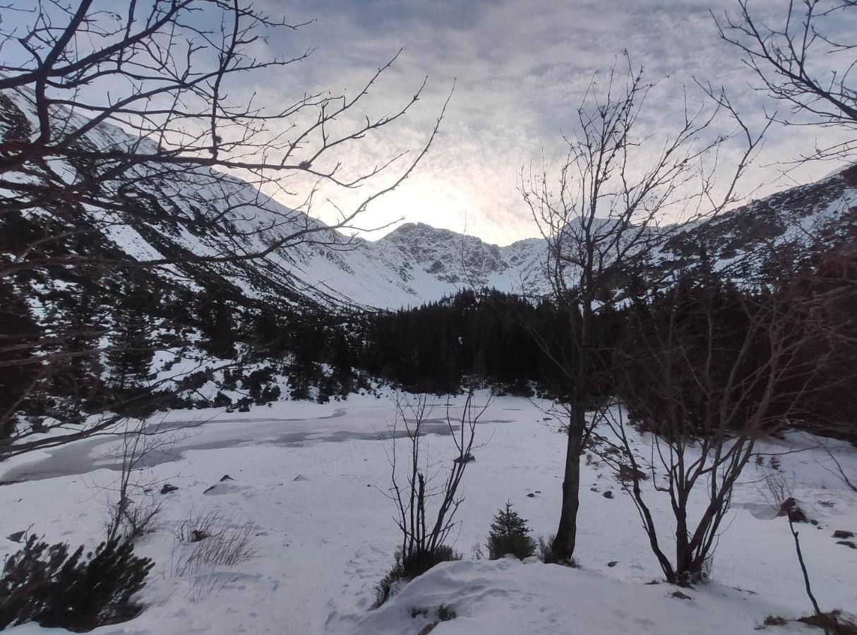 Western Tatras Slovakia Oravsky Biely Potok Ngoại thất bức ảnh